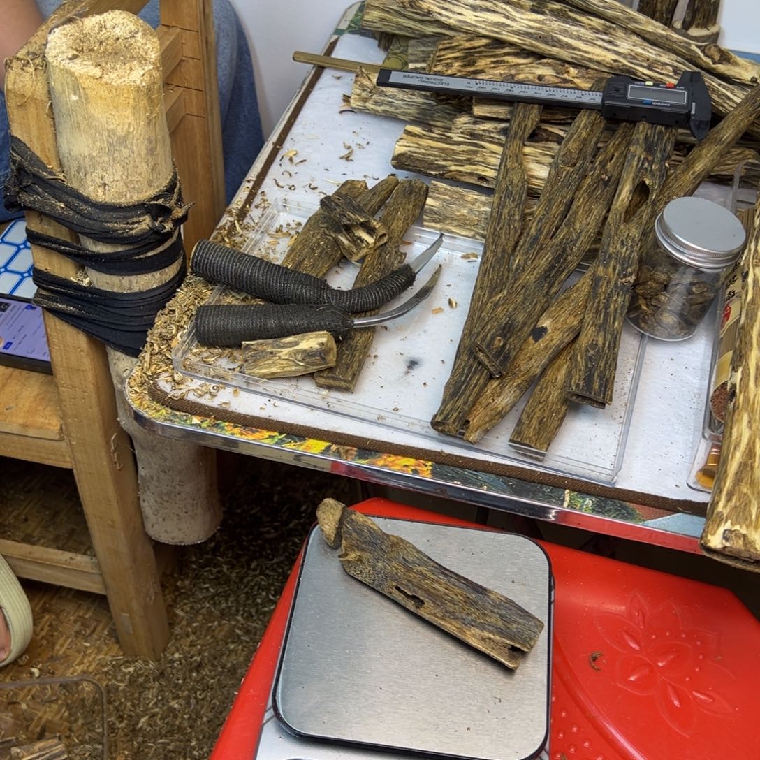 线香奇楠虫漏香27克