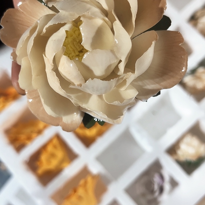 正品35.8一只，拍了备注颜色，