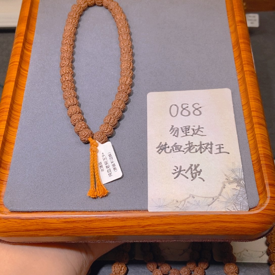 手串金刚菩提088头货勿里达纯血老树王9.6