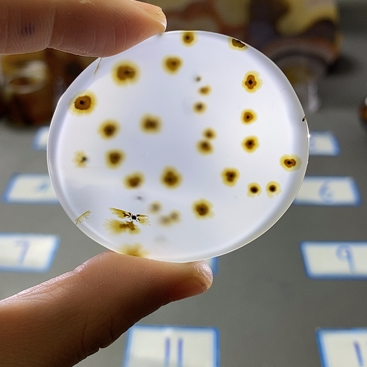 玛瑙/玉髓未镶嵌珠宝半成品165