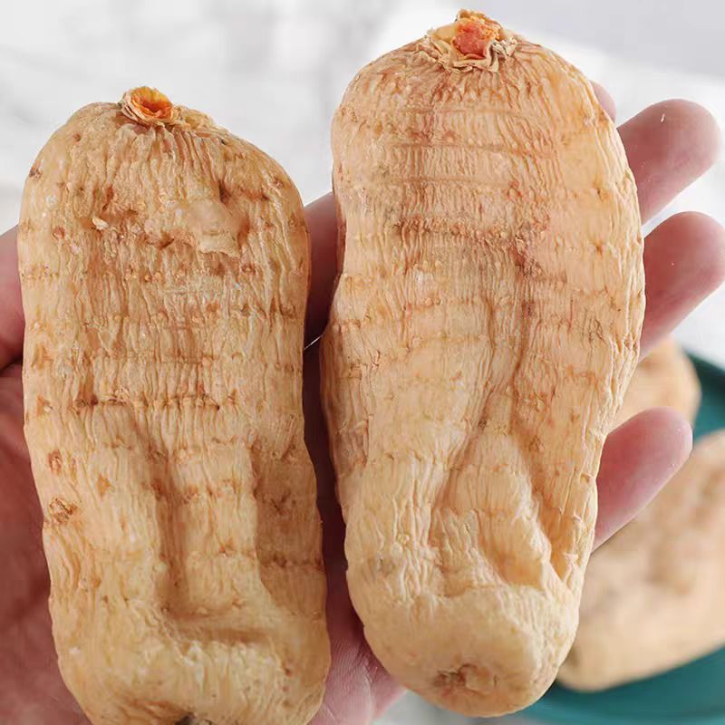 高山农家 自采天麻 250g  小林专属