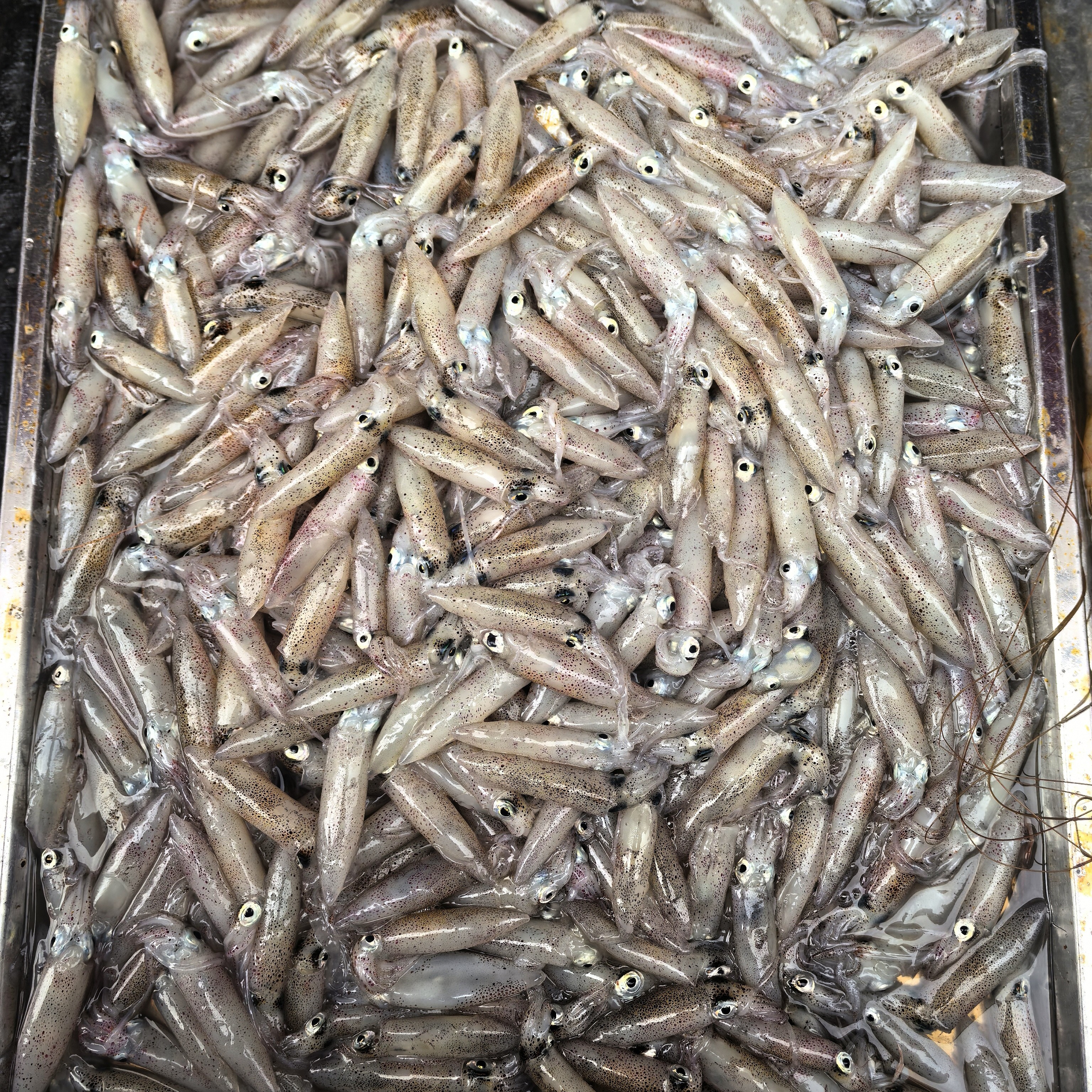 主播代买真空包装新鲜度高