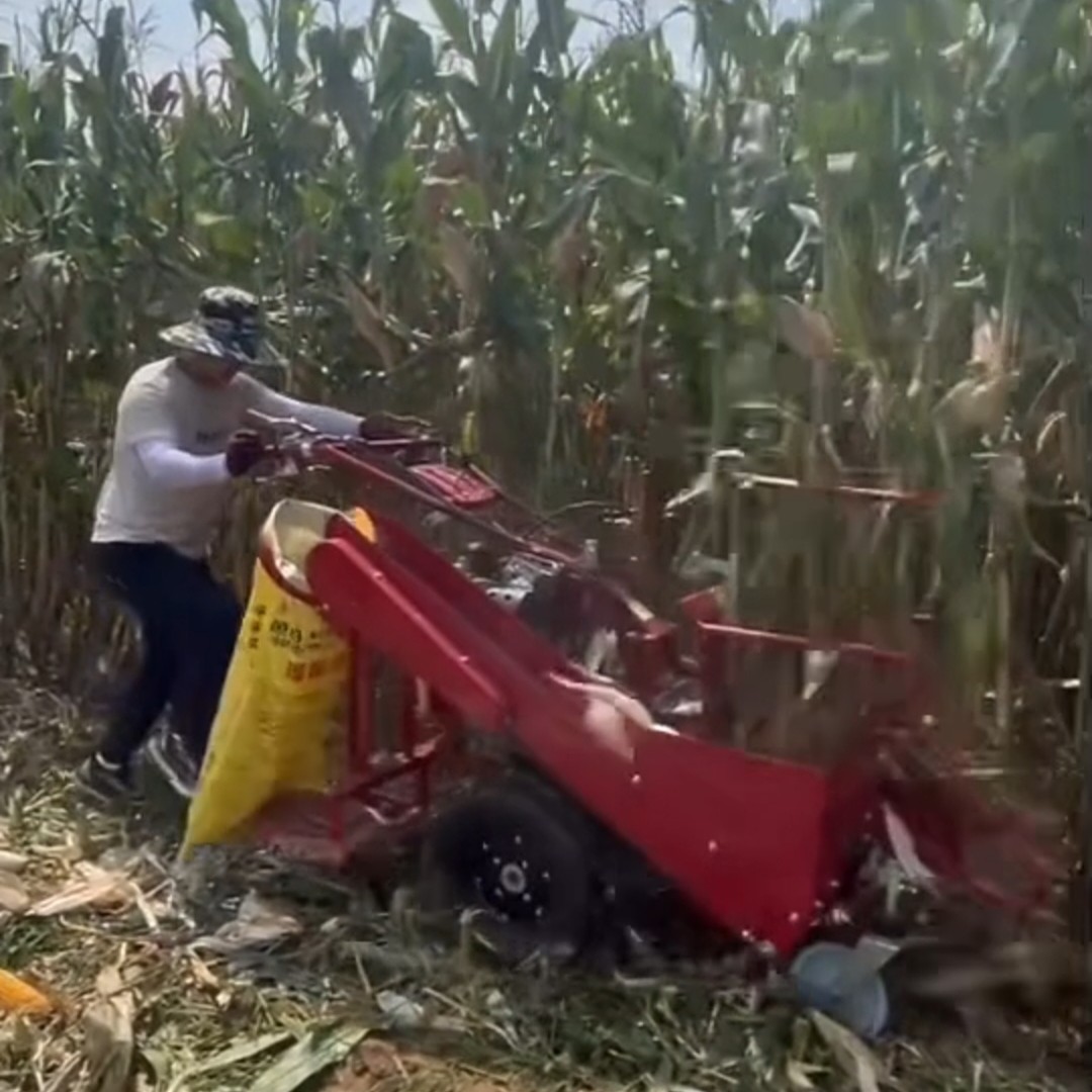 带输送直接装袋，玉米单行(不带扒皮)收获机