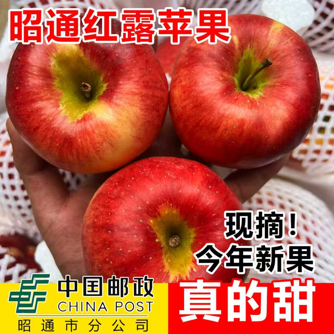 云南昭通高原苹果脆甜红露冰糖心苹果产地直采现发G