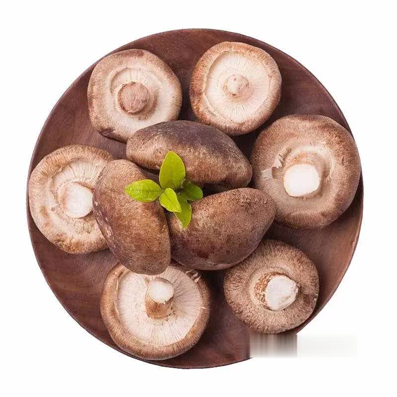 精品鲜香菇约200g±10g