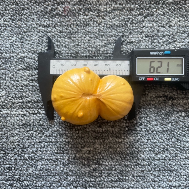 保养的，两年墨西哥双胞胎葫芦，稳定不会再开裂，尺寸看图