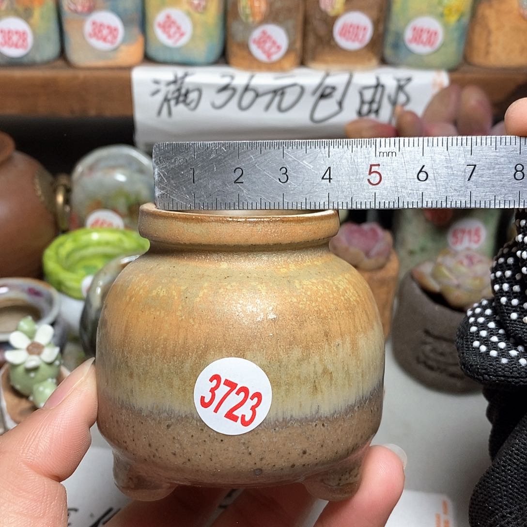 红陶拍5送一个小