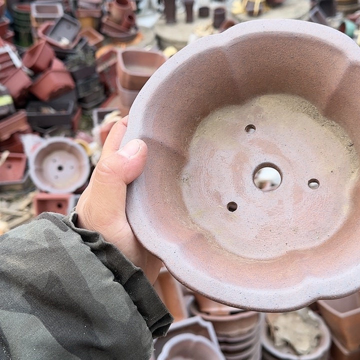 是一个不知名作家与著名导演兼电影演员们之间