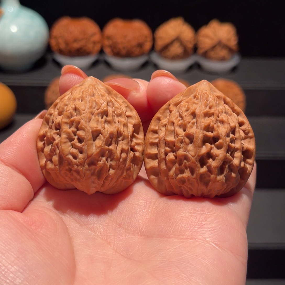 金牛37精品，全品644