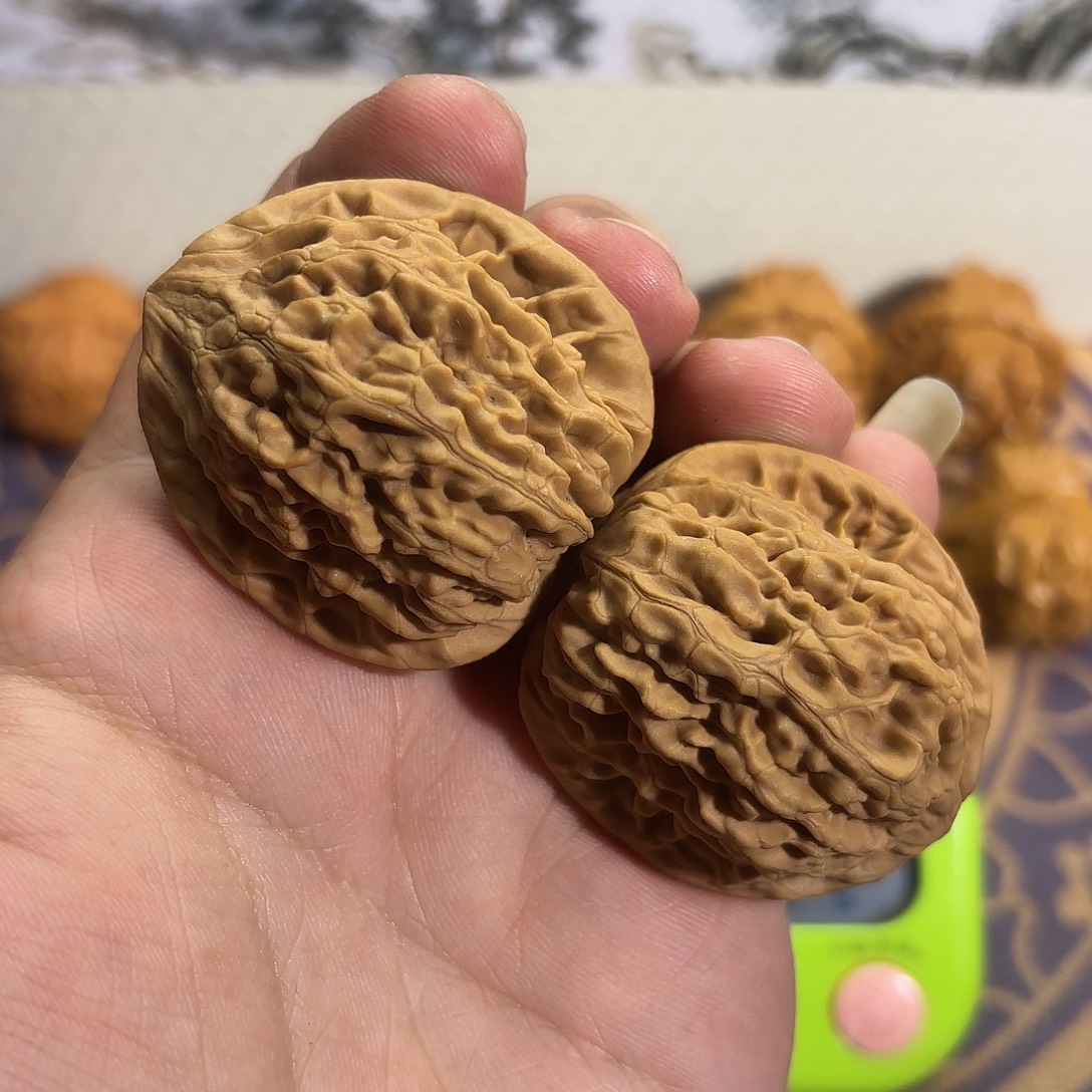 核桃03号 通天八。福利 