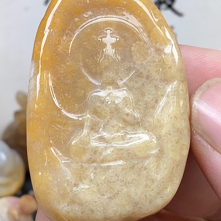 颈饰未镶嵌硅化珊瑚（珊瑚玉）