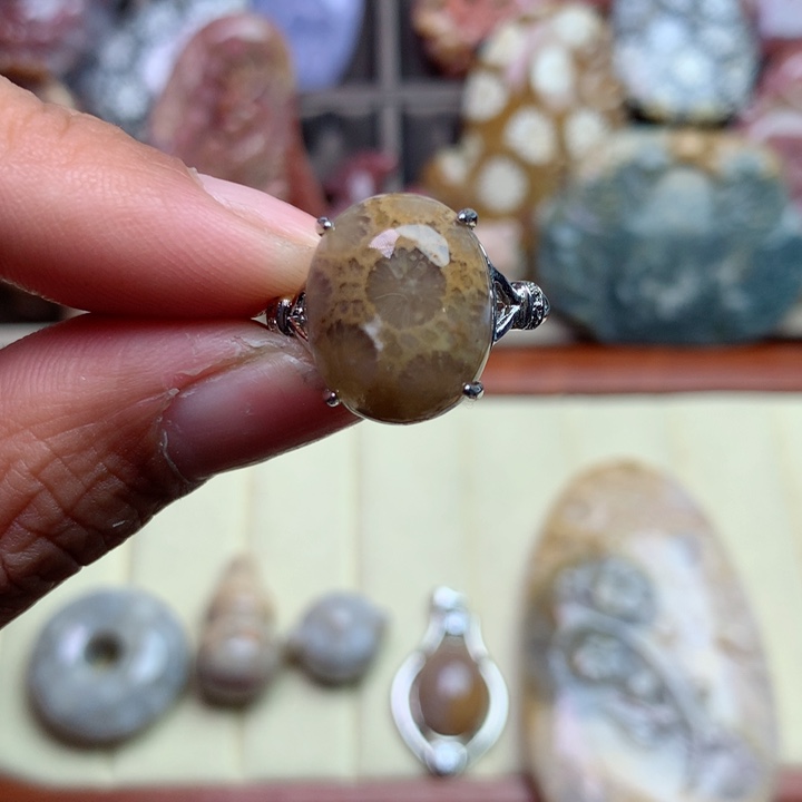 硅化珊瑚（珊瑚玉）颈饰未镶嵌