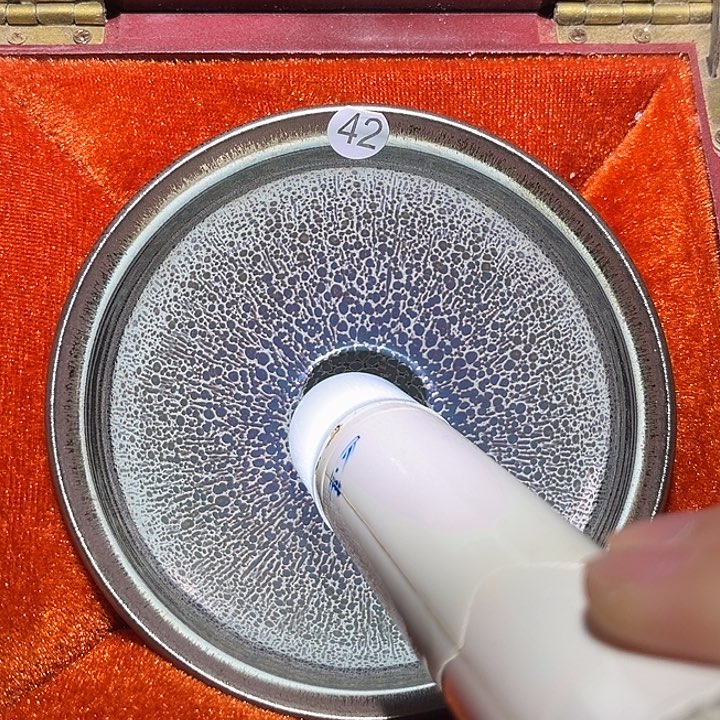 茶盏漏乐乐乐乐乐乐乐乐乐乐乐乐