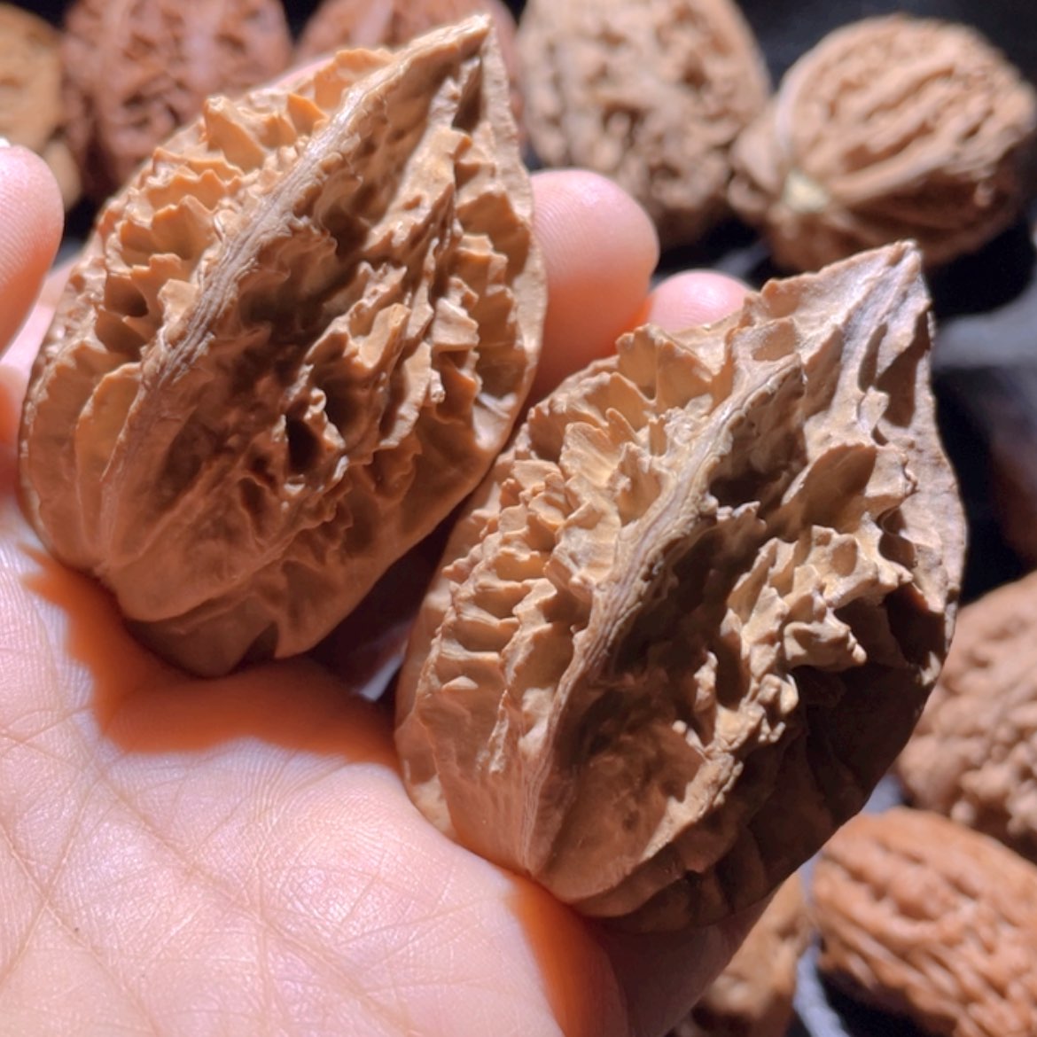 【闪购商品】文玩核桃把件东北楸子13