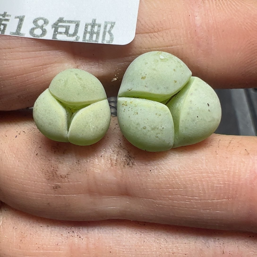 【闪购商品】908……