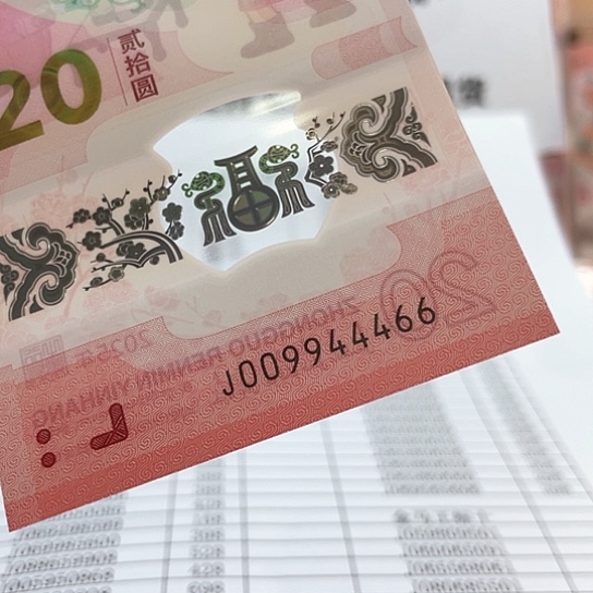 塑料蛇钞009944466 四对子 豹子身