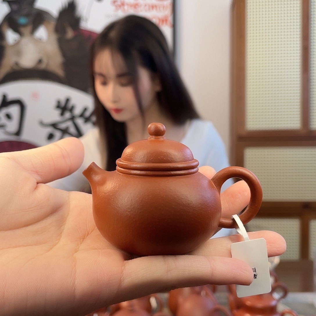 紫砂茶壶郭丰仪迷你容天鱼籽朱泥