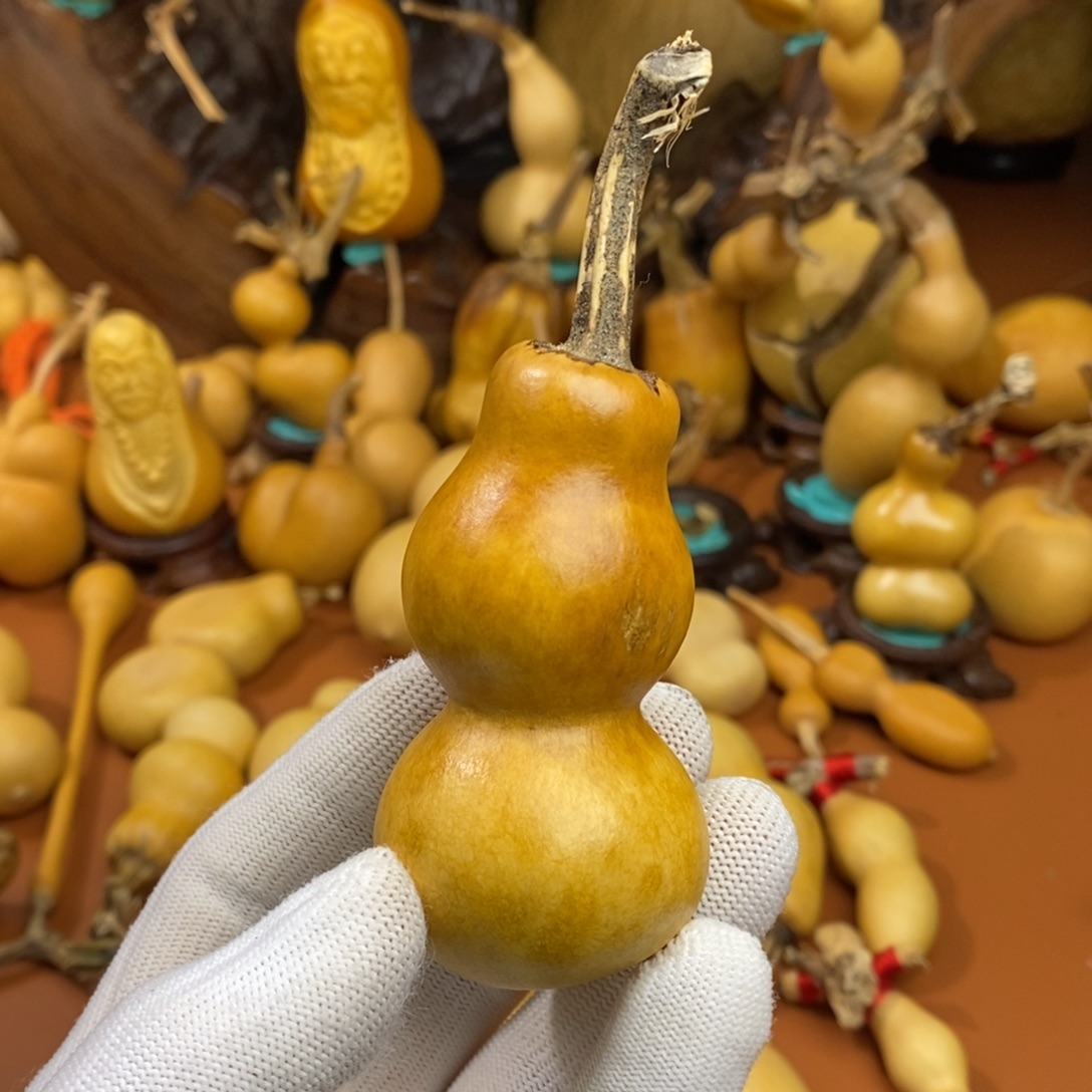 肖***）教练咯教练咯教练咯