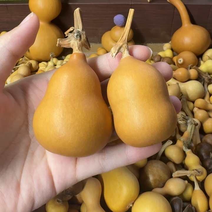 三***生葫芦葫芦葫芦葫芦