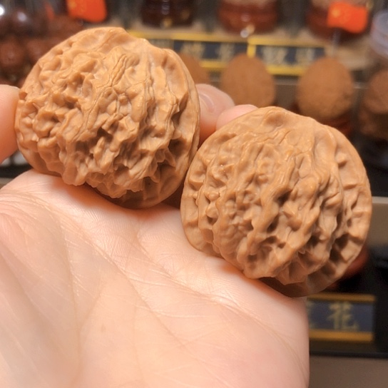 野生小众：秦公子