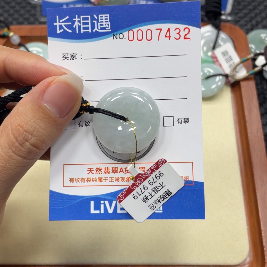 翡翠颈饰未镶嵌翡翠吊坠x 7432