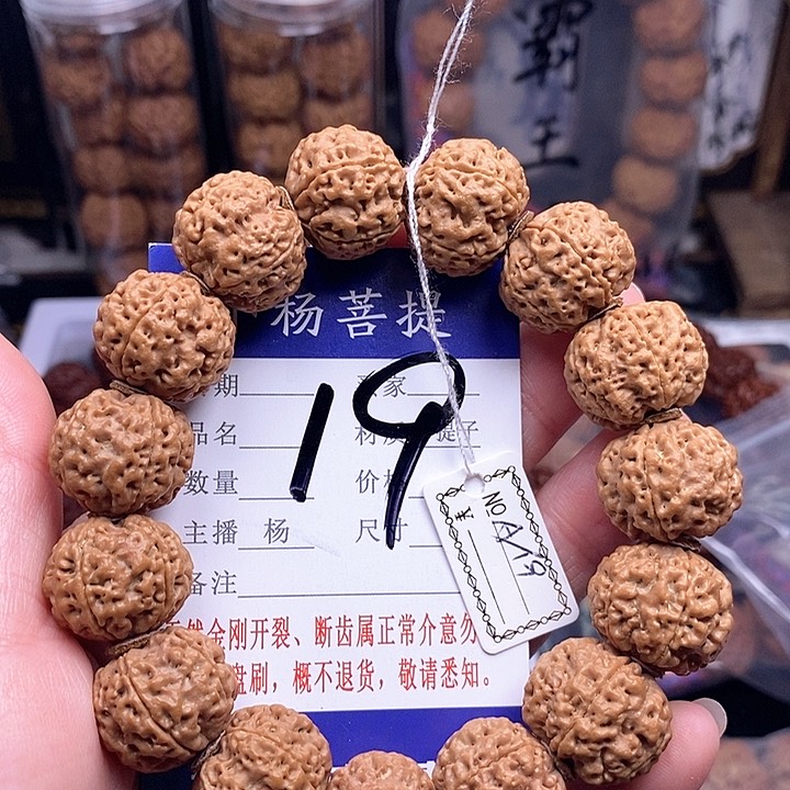 金刚菩提手串19双龙