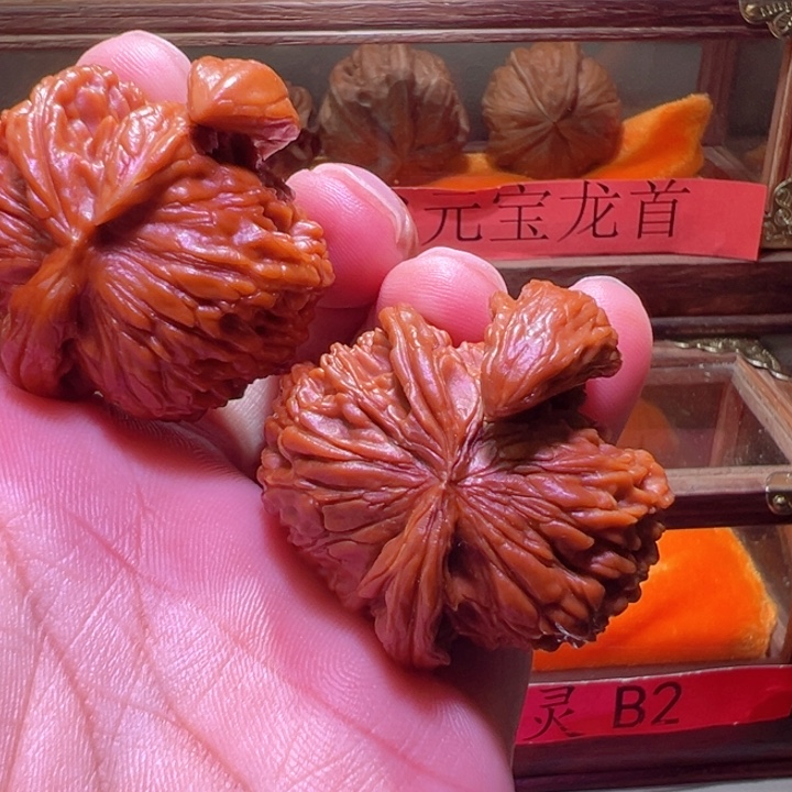 白狮子茶壶角纯天然麻核桃