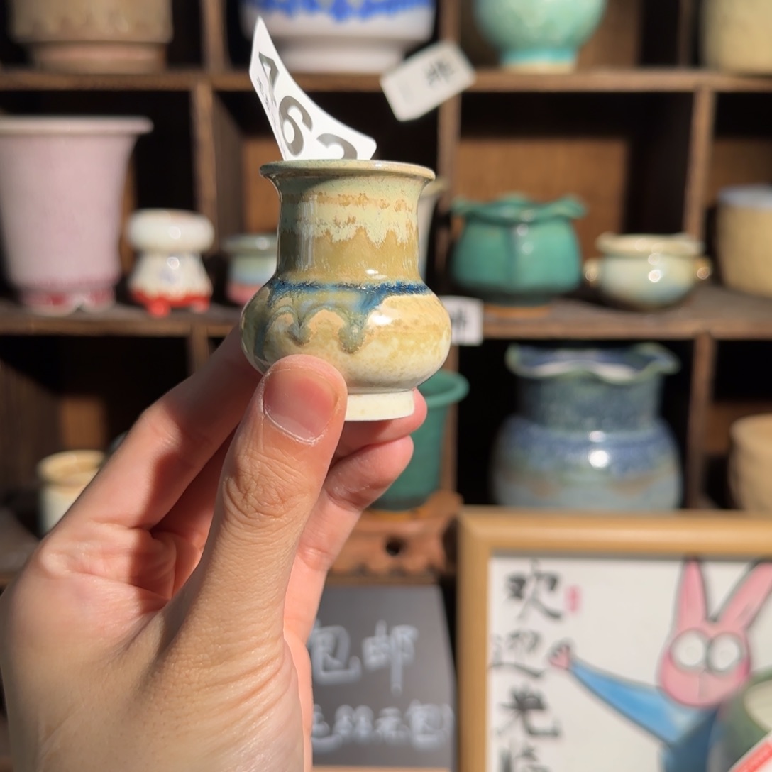 462 口2.5 默认微瑕非偏远两单包邮