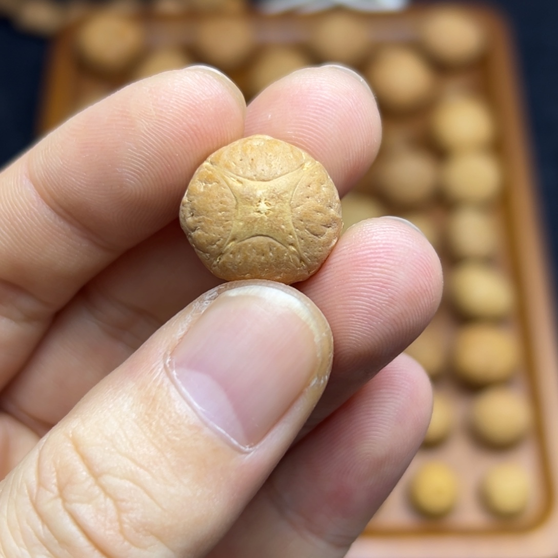 步***师手串凤眼菩提17+麒麟眼