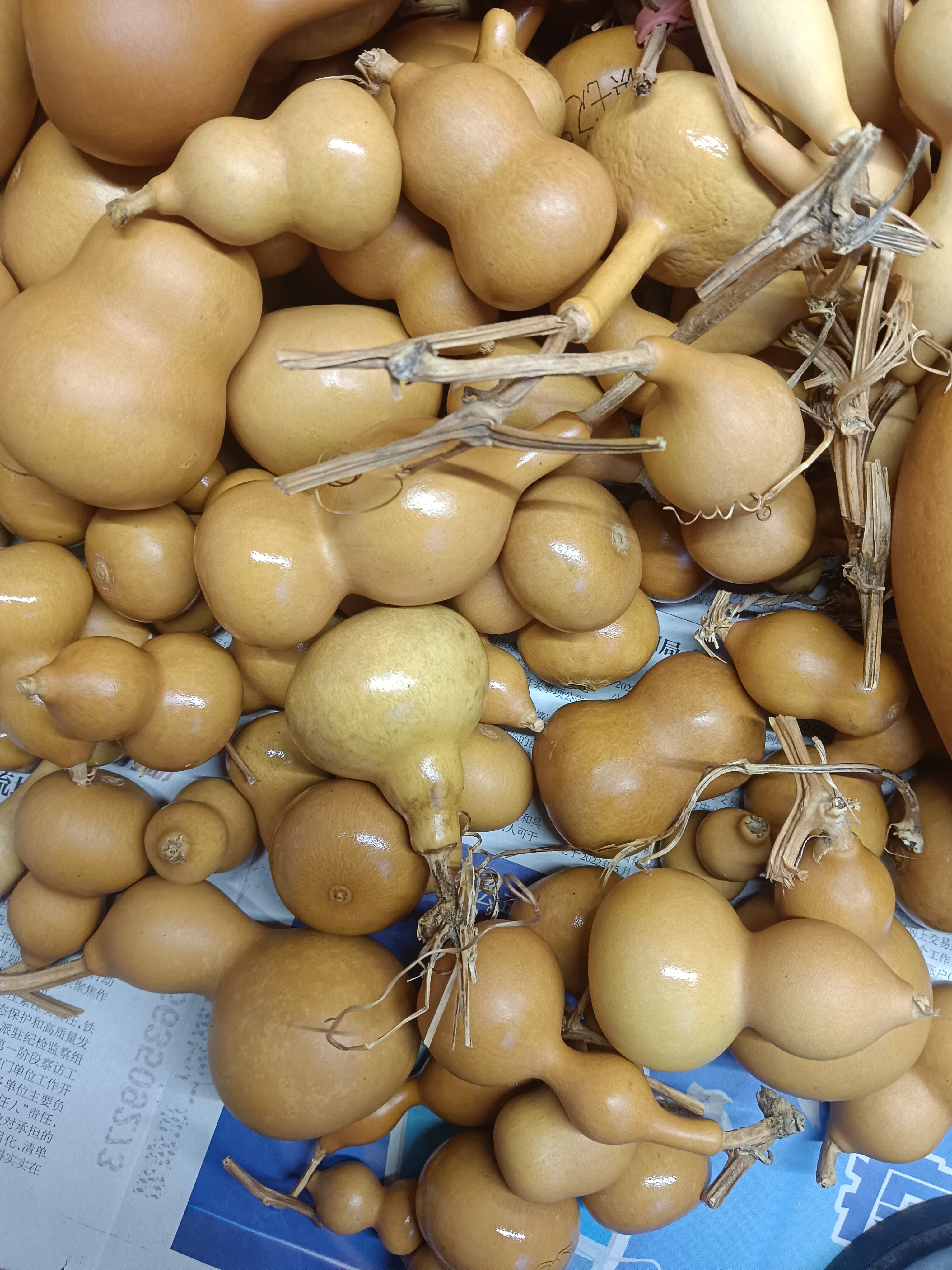 天然葫芦直播间专用链接（请勿自主下单）