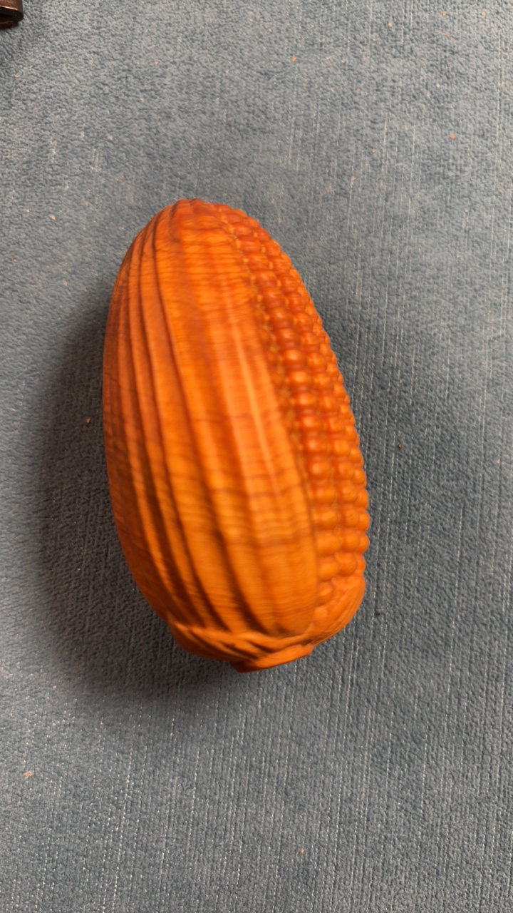 太行崖柏，小玉米