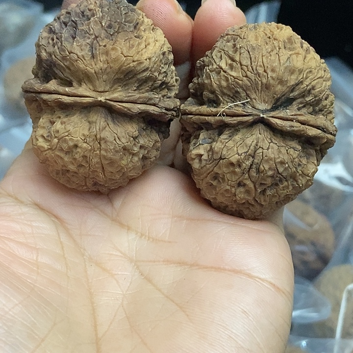 文玩核桃把件云南铁核桃基地57