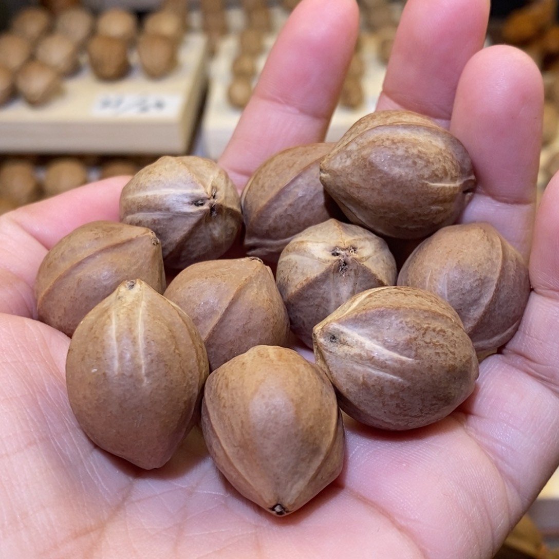 手串/手链橄榄核阿**✨2.0✖️26梅林铁核