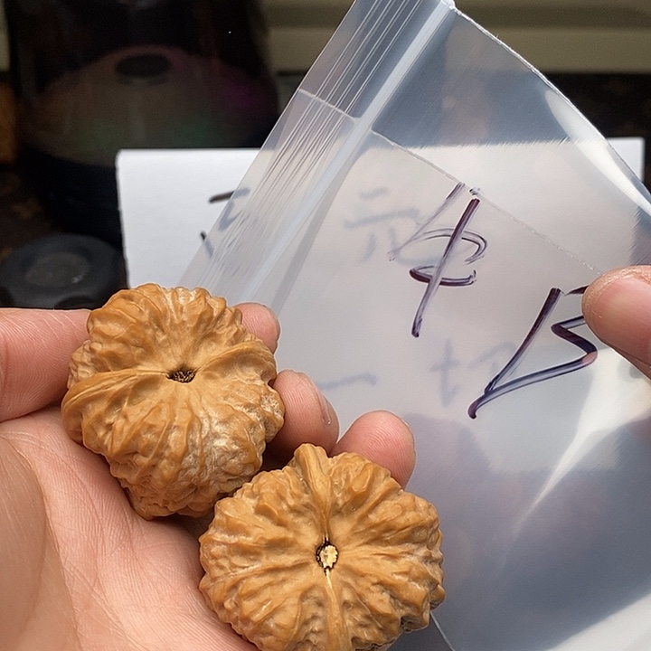 吊坠文玩核桃753537537375573573537