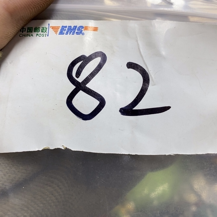 天***鼠娜娜文玩杂项专属链接