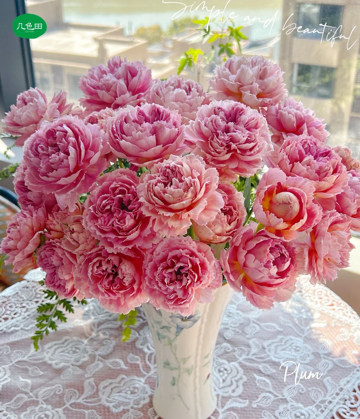 多头织锦-稀有玫瑰（实物以直播间展示为准）云南直发鲜花云南花插