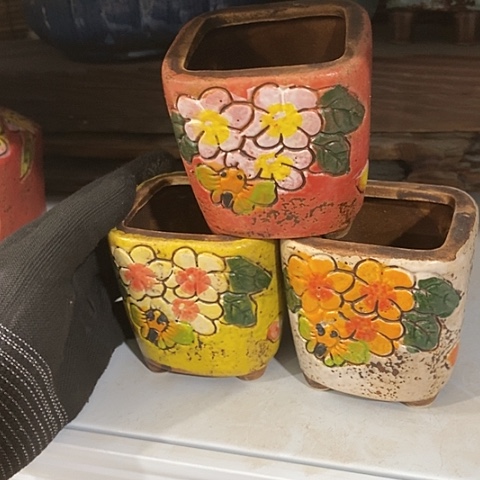 【闪购商品】红陶福利