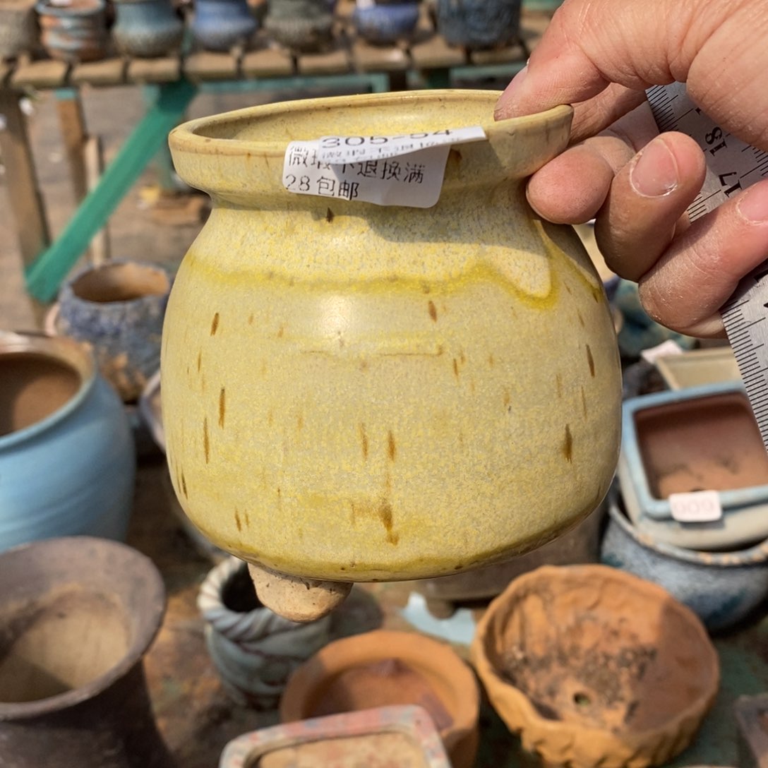 红陶54号多肉盆一个呀