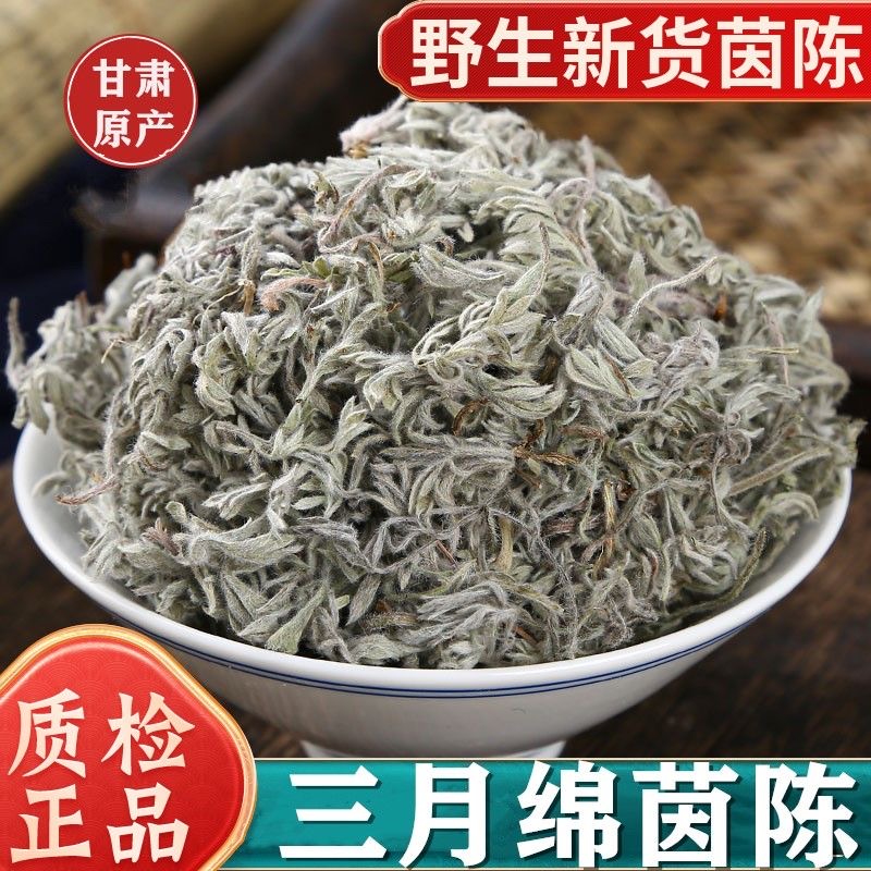 正宗野生茵陈干货甘肃秦岭高海拔精选茵陈白蒿三月绵茵陈