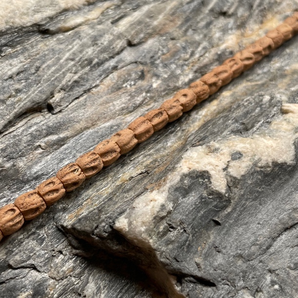 【红皮多棱•“吉”顺】小高桩直桶粉红皮玉化籽热振柏香籽 热振百香籽