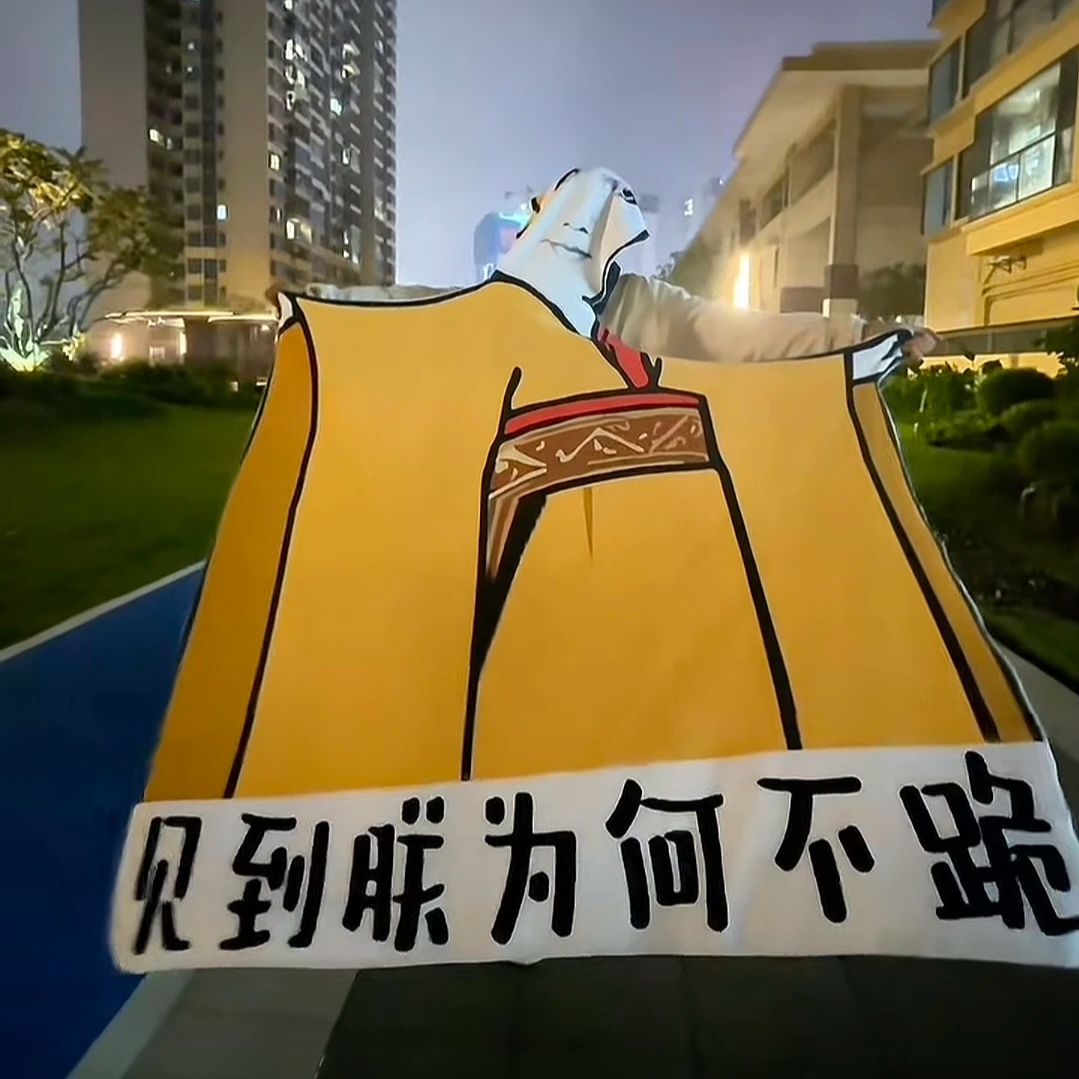 【视频款】见朕为何不跪龙图毛毯空调毯印花法兰绒毯网红搞怪车摆件