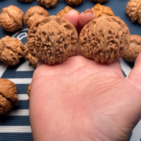 橄榄核手串/手链四座楼44全品