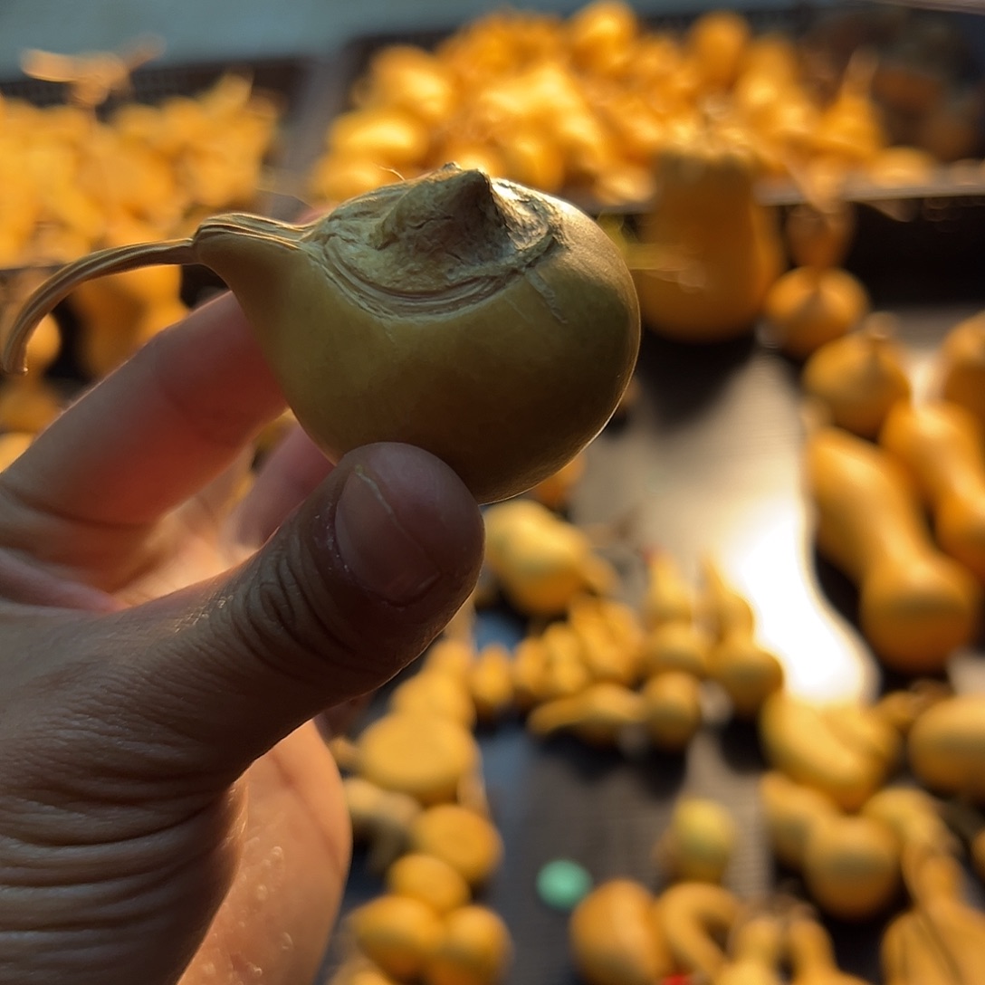 元宝葫芦葫芦葫芦