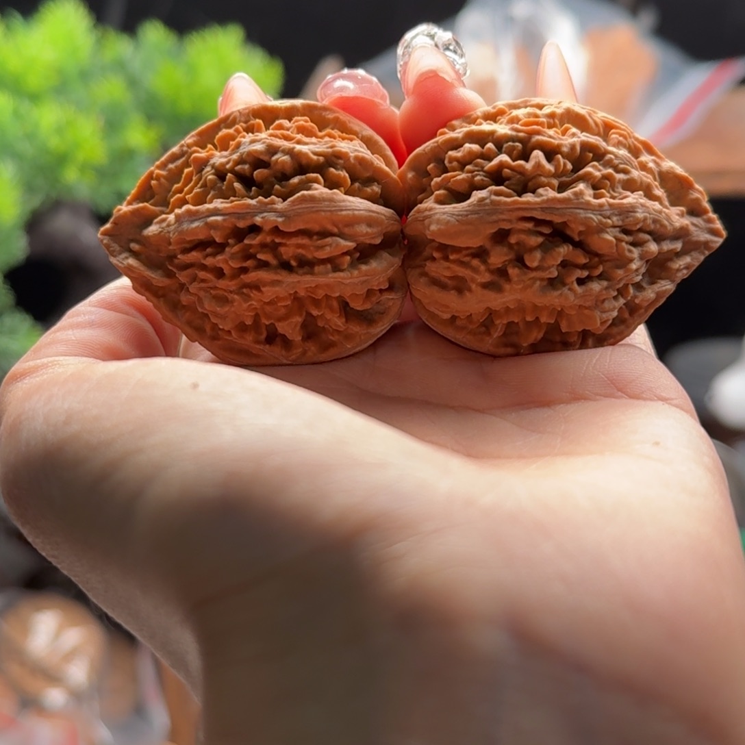 文玩核桃把件关东木子楸百核74花皮