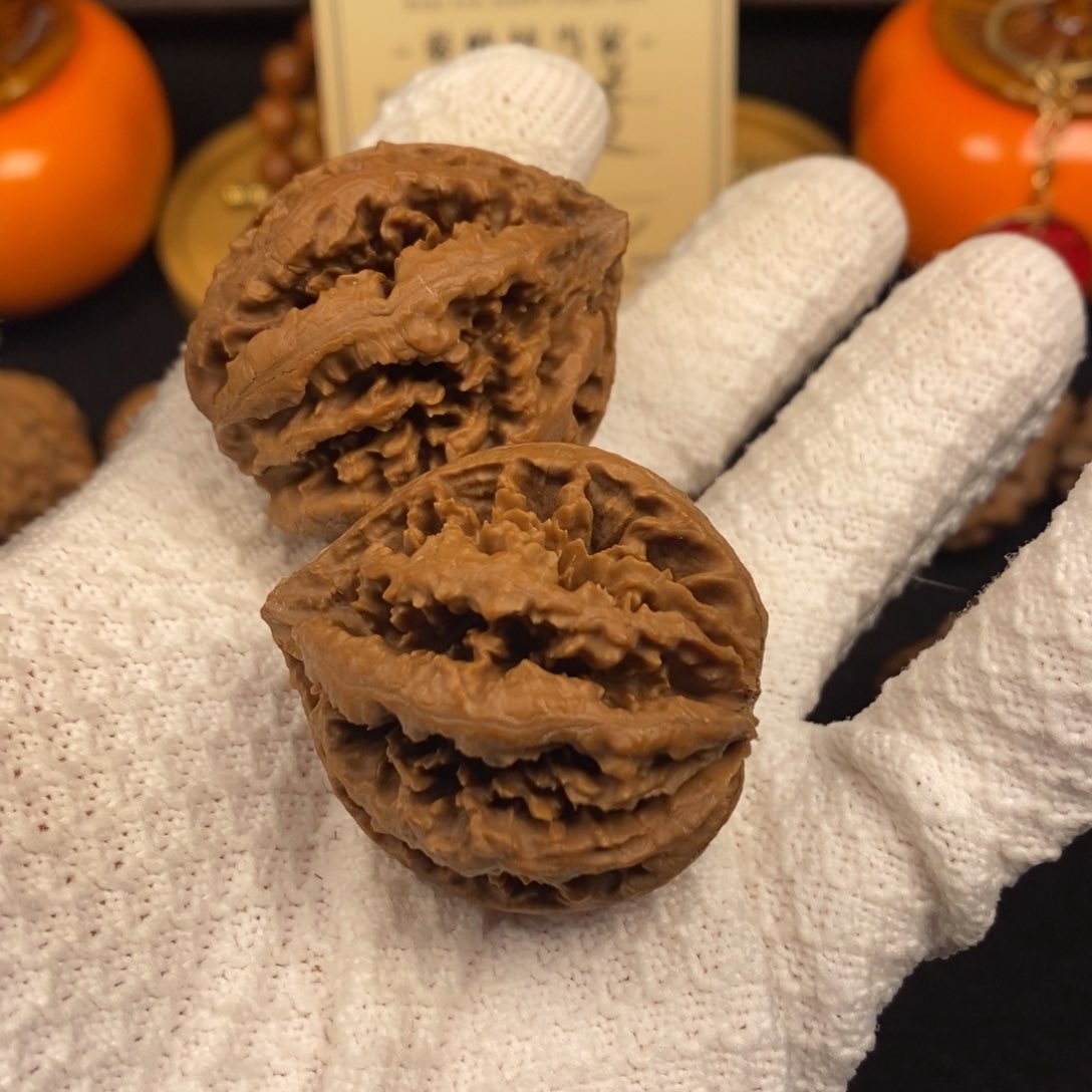 秦岭南北区有两块土地