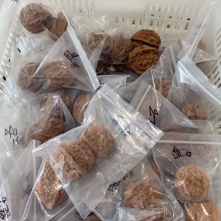 吊坠文玩核桃大磐石微瑕