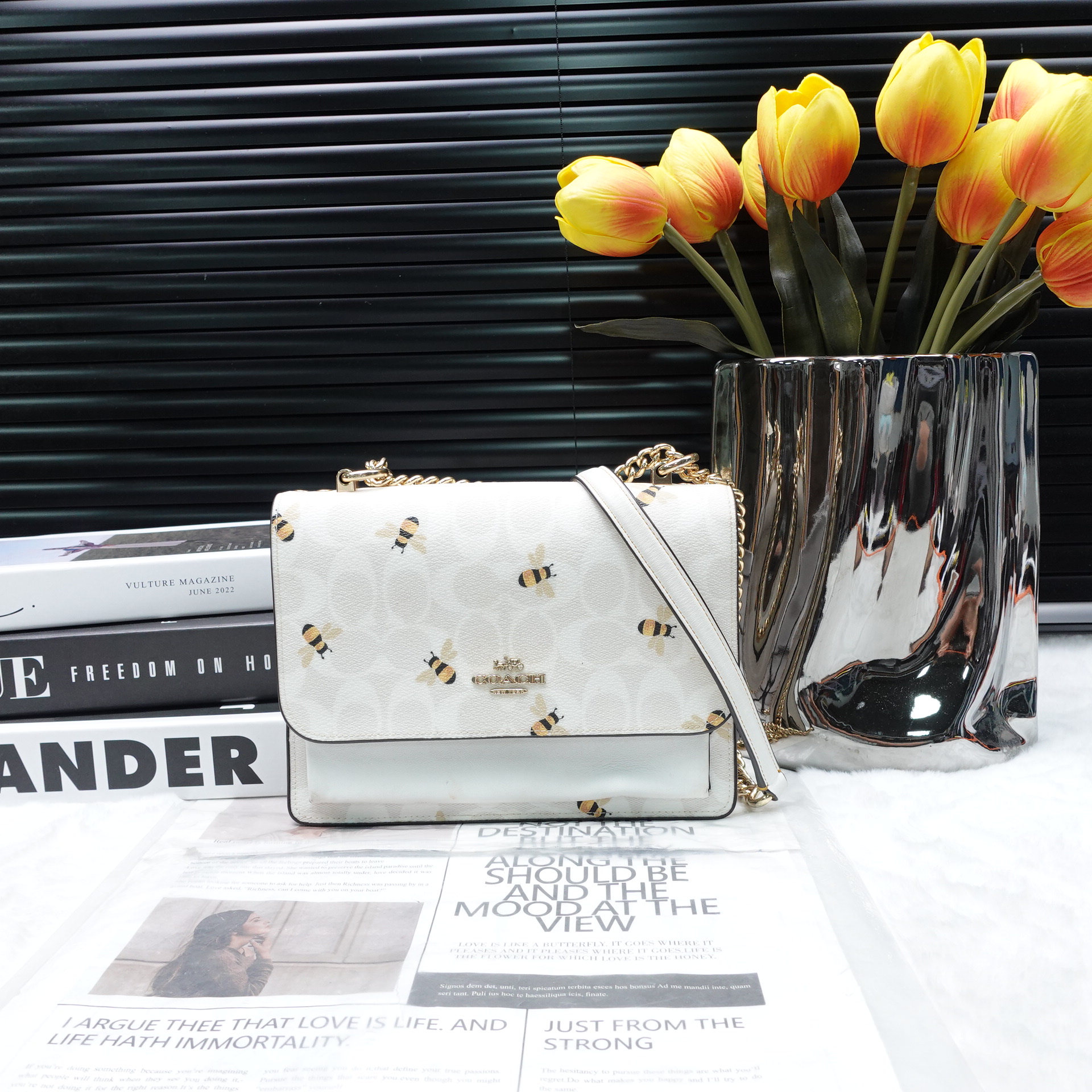 95新 COACH/蔻驰 单肩包/T10161888