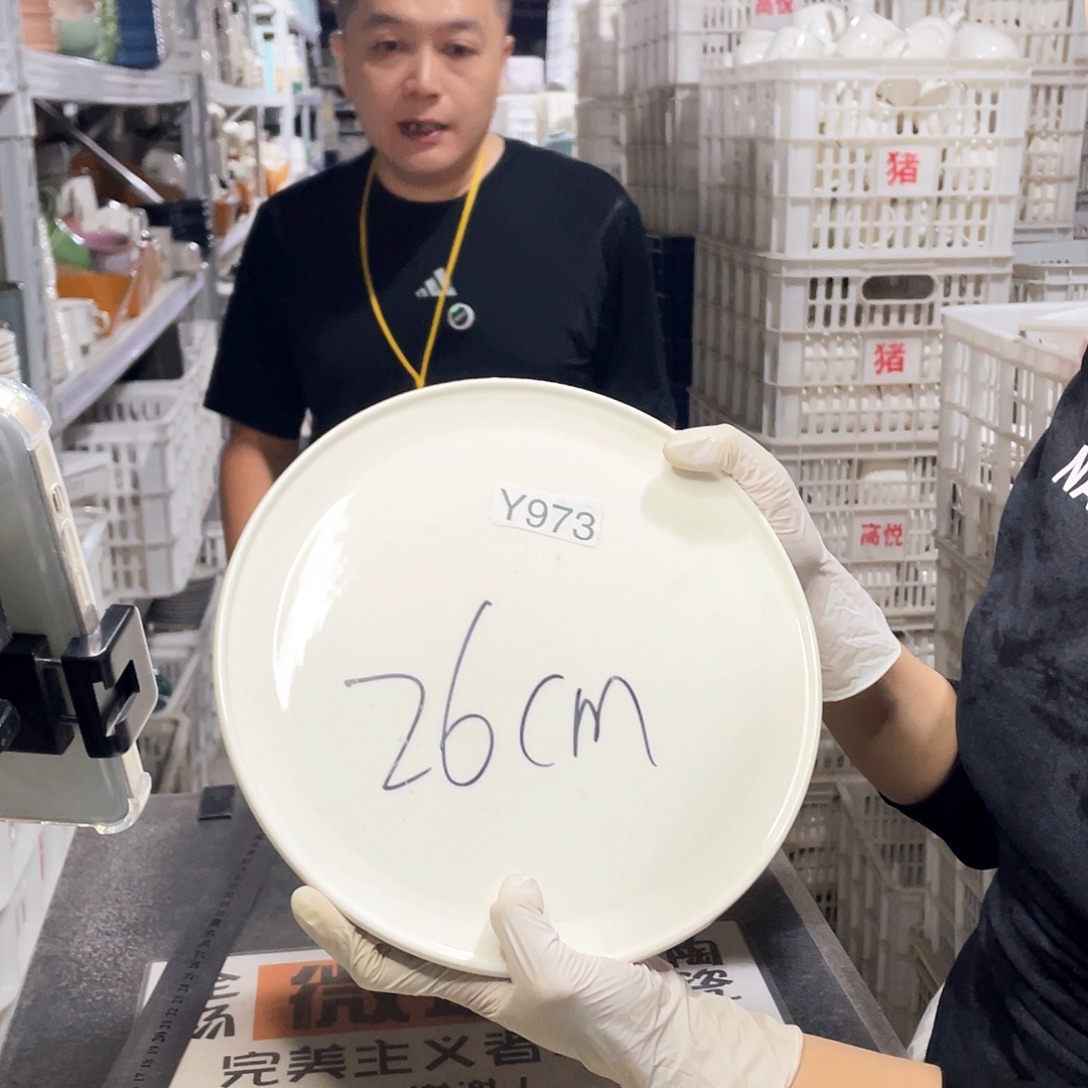 瓷片973               2个