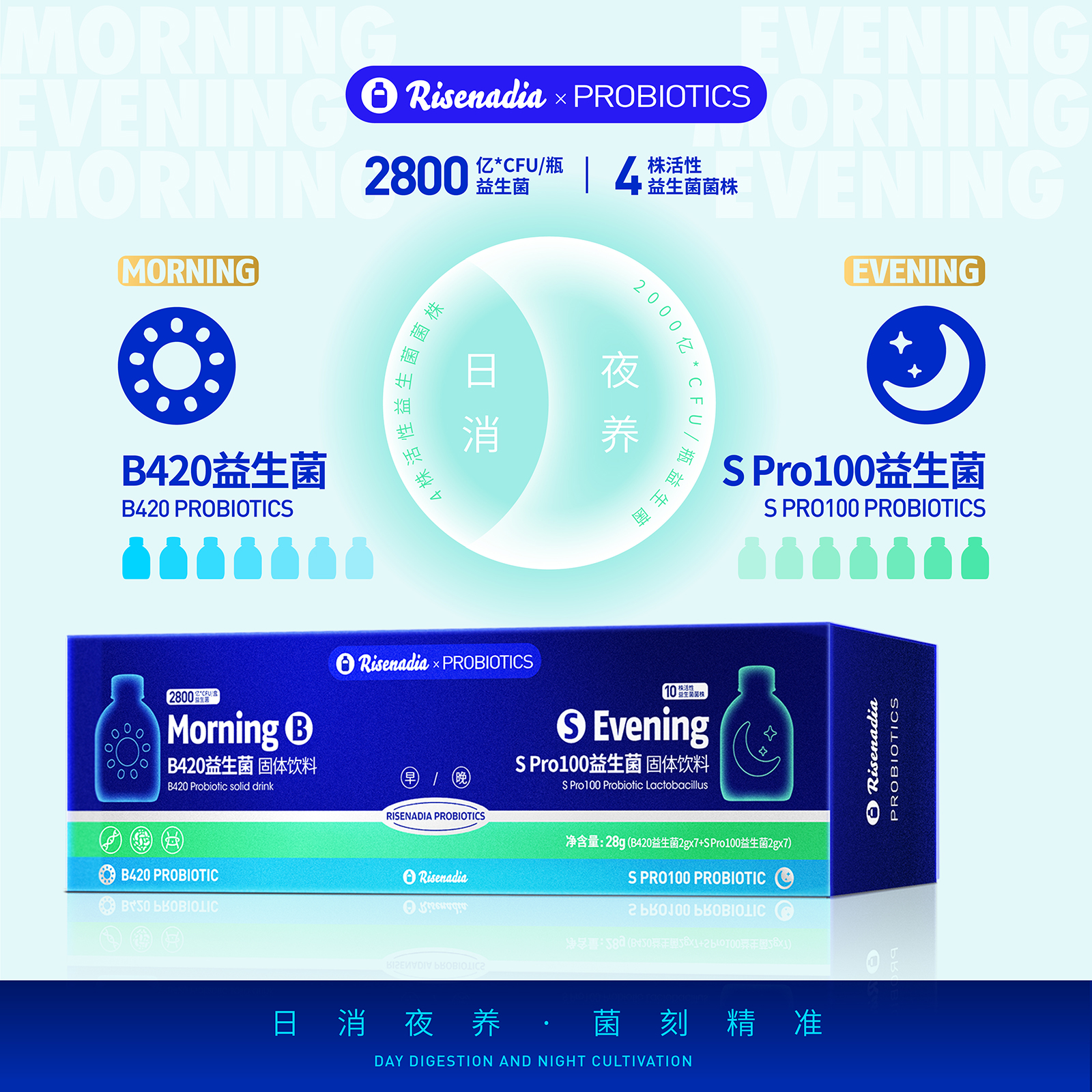 Risenadia 瑞斯纳达早B420+晚S Pro100益生菌