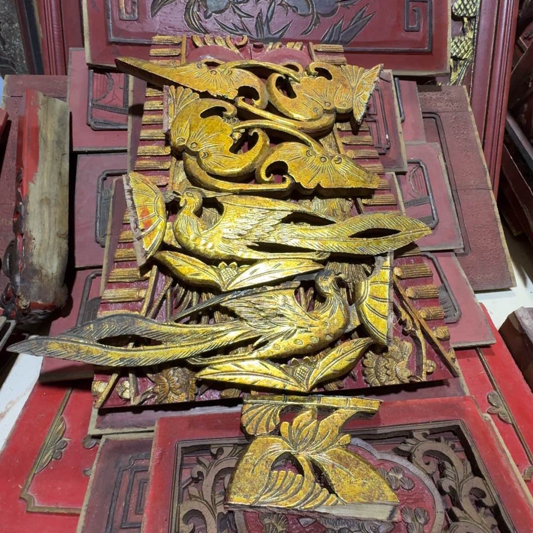 超***外香樟木这几＂是因为它具有非常丰富